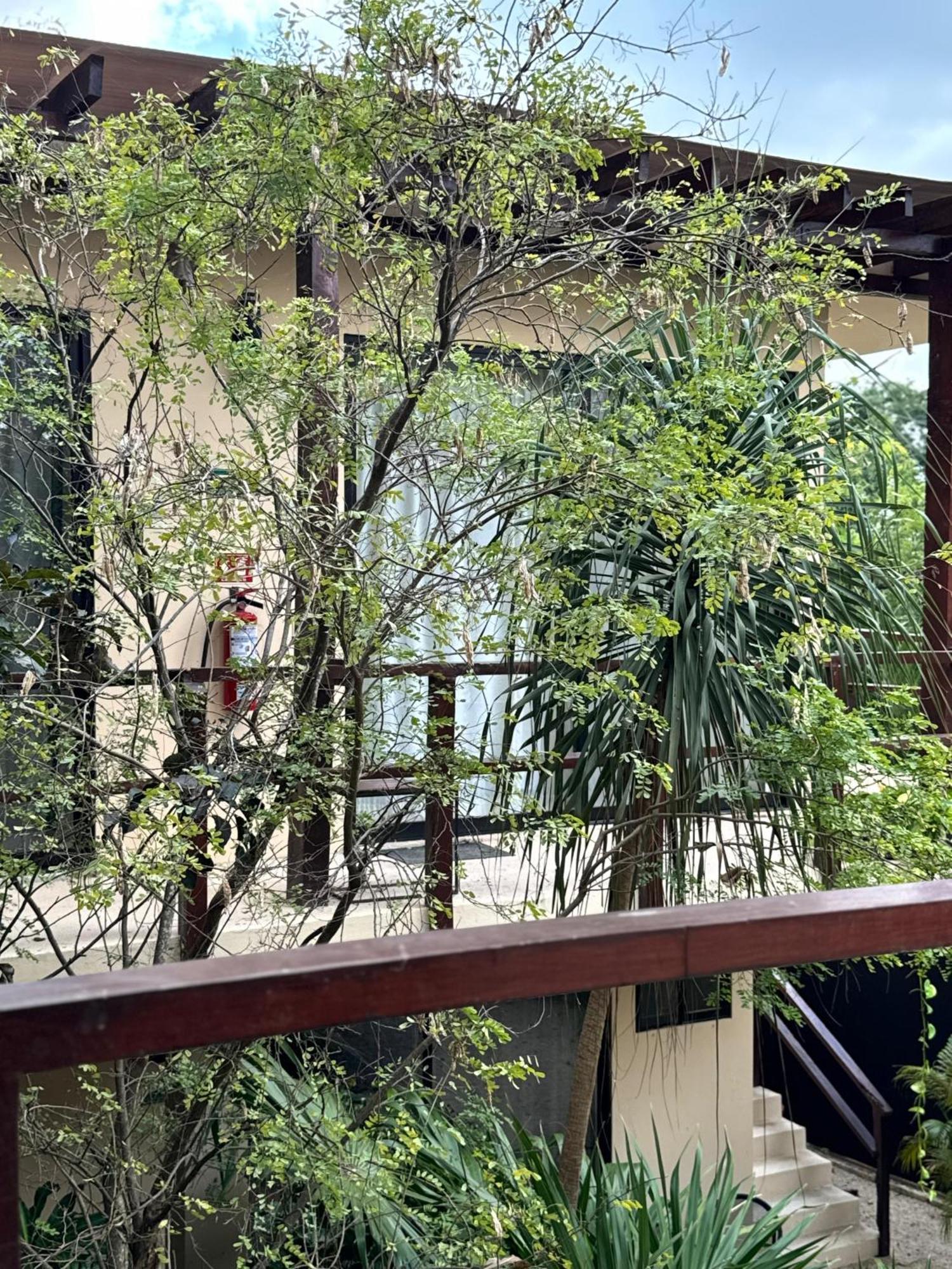 Starfit Hotel Boutique Beachclub, Spa & Gym Included Tulum Bagian luar foto